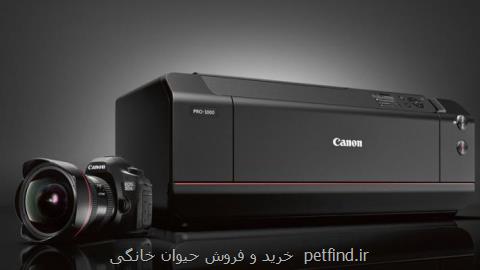 نمایندگی رسمی كانن در تهران