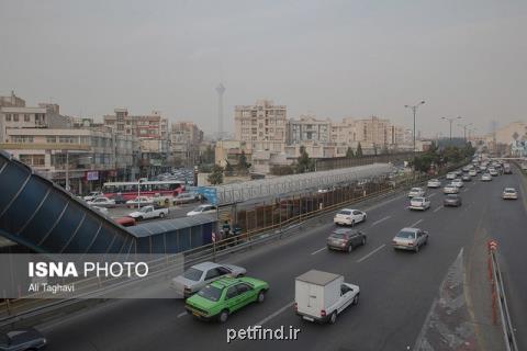 افزایش غلظت ازن در هوای تهران، هوا برای حساس ها نامطلوب است