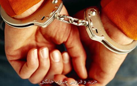 نقشه زن هروئینی برای كودك ۵ ساله در میدان تره بار لو رفت