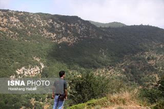 لزوم تعریف بانك اطلاعاتی جدید برای جنگل های هیركانی