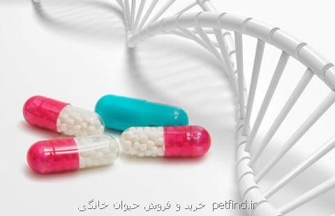 ۲۰ كشور جهان مصرف كننده داروهای ایرانی می شوند