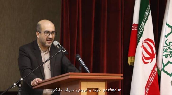 راه اندازی ۲۲ میدان گاه پیاده در مناطق پایتخت