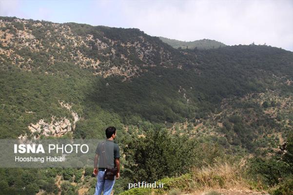 لزوم تعریف بانك اطلاعاتی جدید برای جنگل های هیركانی