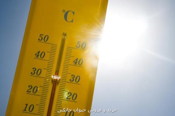 دومین موج گرمای اروپا و ركورد جدید افزایش دما در پاریس