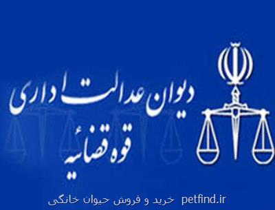 پلیس راهور ملزم به صدور گواهینامه رانندگی موتورسیكلت برای زنان شد