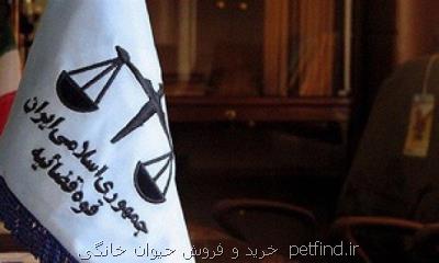 احضار چند مسئول به دنبال تلف هفت قلاده توله ببر در باغ وحش مشهد