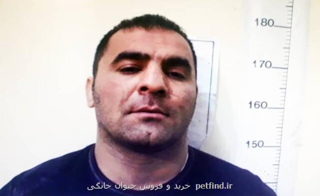 آزار دختران جوان در خانه خالی تهرانپارس بعلاوه عكس