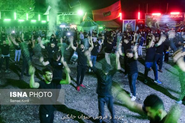 توزیع بیشتر از ۱۰۰ كیلو كیسه تجزیه پذیر در دهه اول ماه محرم در منطقه ۱۹ تهران