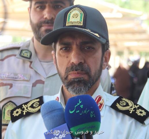 پلیس ایران مسئولیت اجرایی در عراق ندارد، مشكلی در مرز مهران وجود ندارد