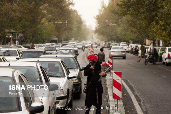سالمندان و كودكان از فعالیت بدنی در فضای باز اجتناب كنند