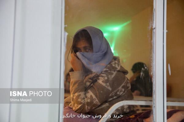 آخرین وضعیت سرویس دهی مركز شبانه نگهداری از معتادان در فصول سرد سال
