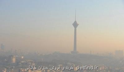 تعطیلی ناگهانی مدارس در كاهش آلودگی اثربخش نیست