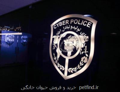 توضیح پلیس فتا درباره پیامك های جعلی