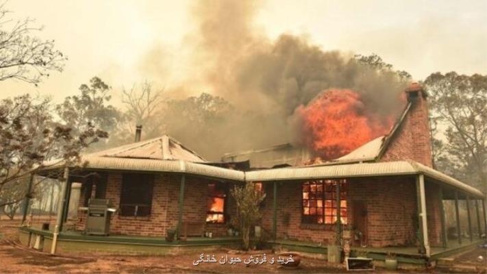 خطر قطع برق سیدنی در آتش سوزی استرالیا
