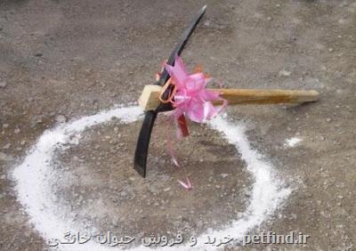 كلنگ زنی 4 مجتمع آموزشی و مدرسه به نام شهیدان سلیمانی و پورجعفری