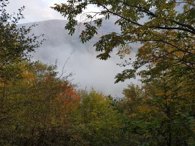 بومگردی در شمال