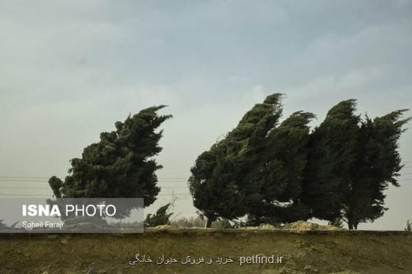 وزش باد شدید در بعضی مناطق كشور