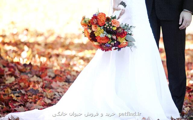 ابلاغیه پلیس اماكن در مورد لغو مراسم تالارها برای كرونا
