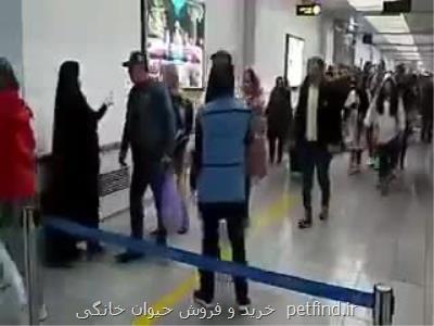 99 درصدجمعیت تحت پوشش دانشگاه علوم پزشكی زاهدان از لحاظ مبتلاشدن به كرونا غربالگری شدند