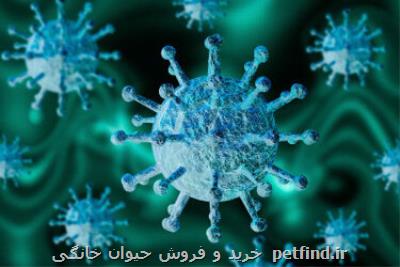 عرضه سامانه خالص سازی هوا برای مقابله با ویروس كرونا