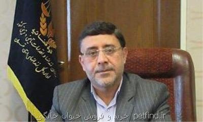 مسئولیت مستقیم نگهداری معتادین متجاهر بر عهده نیروی انتظامی و ستاد مبارزه با مواد مخدر است