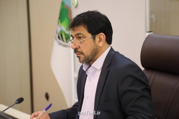 درخواست سازمان جنگل ها از صدا و سیما برای اطلاع رسانی درباره پیش گیری از حریق جنگل ها