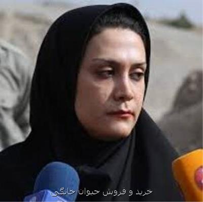 پایش ۷۱ واحد ضایعاتی در غرب تهران